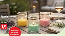 Thomas Philipps Citronella-Duftkerze Angebot