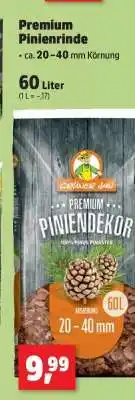 Thomas Philipps Premium Pinienrinde Angebot