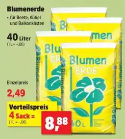 Thomas Philipps Blumenerde Angebot