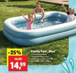 Thomas Philipps Family Pool „Blue“ Angebot