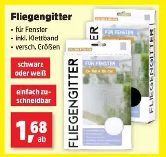 Thomas Philipps Fliegengitter Angebot