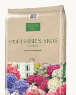 Pflanzen Kölle Kölle's Beste Hortensien-Erde Angebot