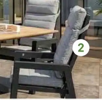 Pflanzen Kölle Kölle Alu-Hochlehnersessel Windsor Angebot