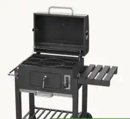 Pflanzen Kölle Holzkohlegrill Fuego Angebot