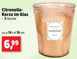 Thomas Philipps Citronella Kerze im Glas Angebot