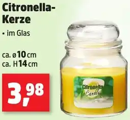 Thomas Philipps Citronella Kerze Angebot