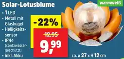 Thomas Philipps Solar-Lotusblume Angebot