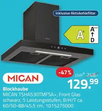 ROLLER Blockhaube MICAN TSHA530TMFSA+ Angebot