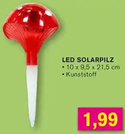 KODi Led solarpilz Angebot