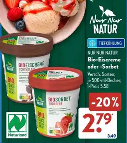 Aldi Süd Nur Nur NATUR Bio-Eiscreme oder -Sorbet Angebot