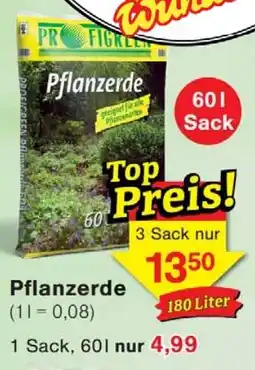 Wiglo Wunderland Pflanzerde Angebot