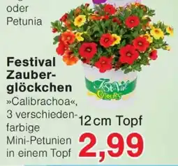 Wiglo Wunderland Festival Zauberglöckchen Angebot