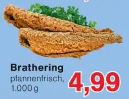 Wiglo Wunderland Brathering Angebot