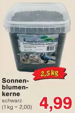 Wiglo Wunderland Sonnenblumenkerne Angebot