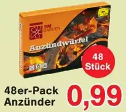 Wiglo Wunderland 48er-Pack Anzünder Angebot