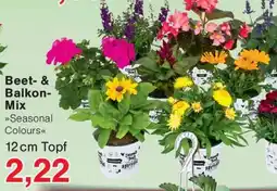 Wiglo Wunderland Beet- & BalkonMix Angebot