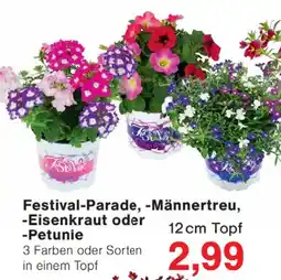 Wiglo Wunderland Festival-Parade, -Männertreu, -Eisenkraut oder -Petunie Angebot