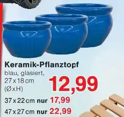 Wiglo Wunderland Keramik-Pflanztopf Angebot