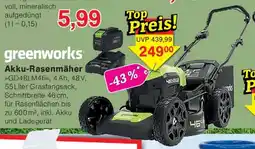 Wiglo Wunderland greenworks Akku-Rasenmäher Angebot