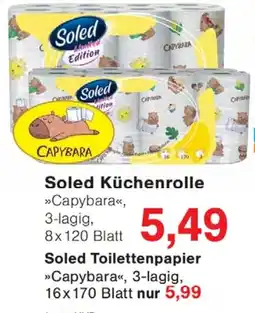 Wiglo Wunderland Soled Küchenrolle Angebot