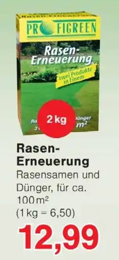 Wiglo Wunderland Rasen Erneuerung Angebot