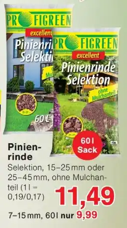 Wiglo Wunderland Pinienrinde Angebot