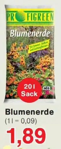 Wiglo Wunderland Blumenerde Angebot