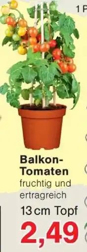 Wiglo Wunderland Balkon Tomaten Angebot