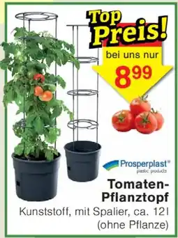 Wiglo Wunderland Tomaten- Pflanztopf Angebot