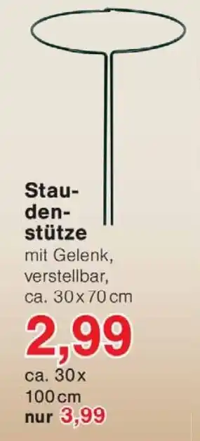 Wiglo Wunderland Staudenstütze Angebot