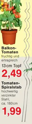 Wiglo Wunderland Tomaten Spiralstab Angebot