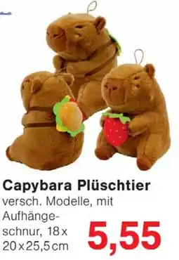 Wiglo Wunderland Capybara Plüschtier Angebot