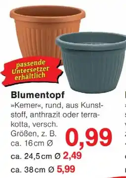 Wiglo Wunderland Blumentopf Angebot
