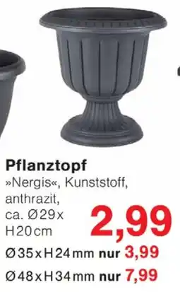 Wiglo Wunderland Pflanztopf Angebot
