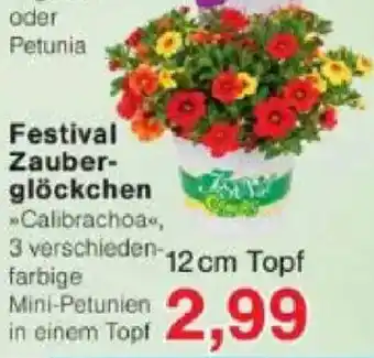 Festival Zauberglöckchen
