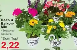 Jawoll Beet- & Balkon- Mix Angebot