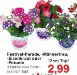 Jawoll Festival-Parade, -Männertreu, -Eisenkraut oder -Petunie Angebot