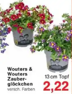 Jawoll Wouters & Wouters Zauberglöckchen Angebot