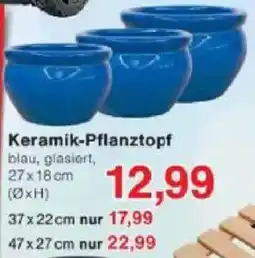 Jawoll Keramik-Pflanztopf Angebot