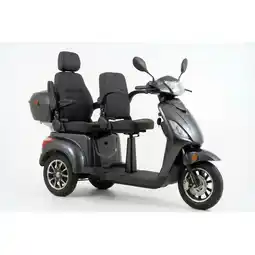 Netto Marken-Discount ECONELO E-Seniorenmobil Billy 2.0, Lithium-Akku, 3-Rad, 60V, 1000 Watt, groß Sitz, Grau Angebot
