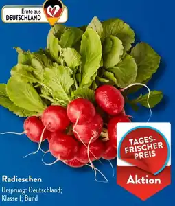 Aldi Süd Radieschen Angebot