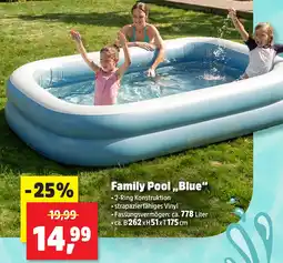 Thomas Philipps Family Pool ,,Blue" Angebot