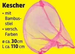 Thomas Philipps Kescher Angebot