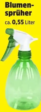 Thomas Philipps Blumensprüher Angebot
