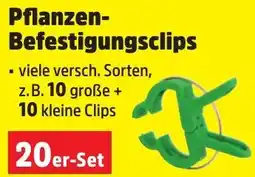 Thomas Philipps Pflanzen Befestigungsclips Angebot