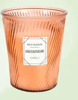 Thomas Philipps Citronella-Kerzen Angebot