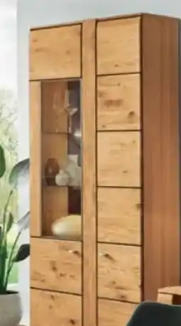 Ostermann Harper Vitrine Izamal Angebot