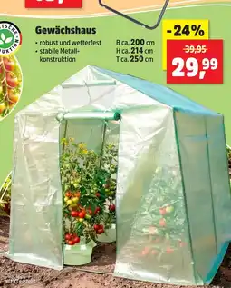 Thomas Philipps Gewächshaus Angebot