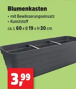 Thomas Philipps Blumenkasten Angebot
