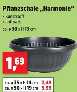 Thomas Philipps Pflanzschale harmonie Angebot